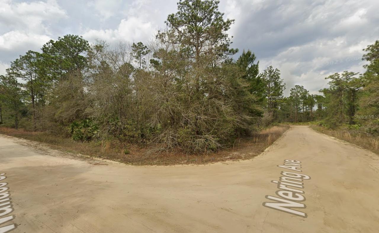 LOT 18 Wallace St., Interlachen, FL 32148