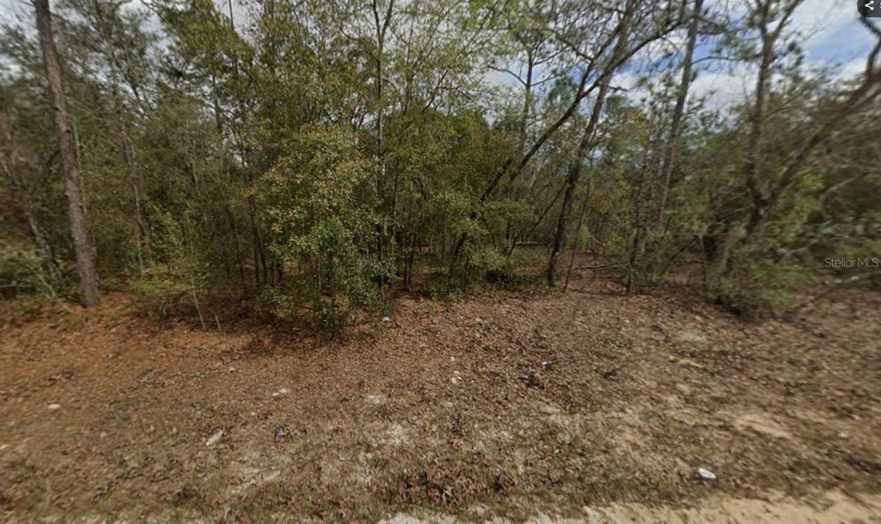LOT 28 Janet Ave., Interlachen, FL 32148