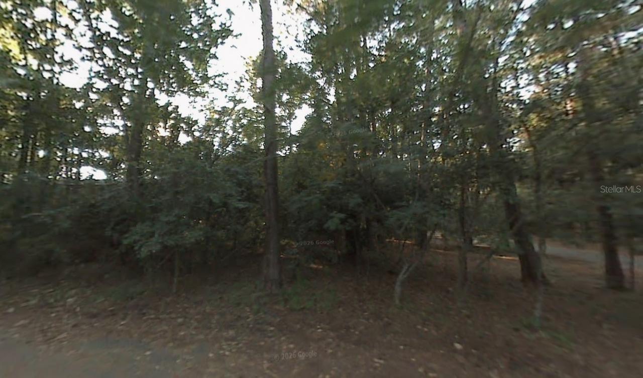 304 Wood Grove Ct., Tallahassee, FL 32301
