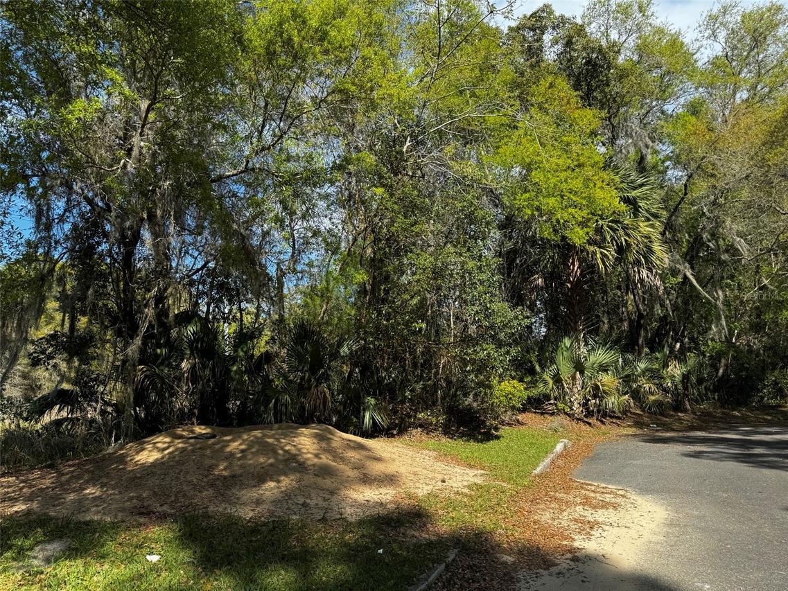 NE 4th Ct., Ocala, FL 34479