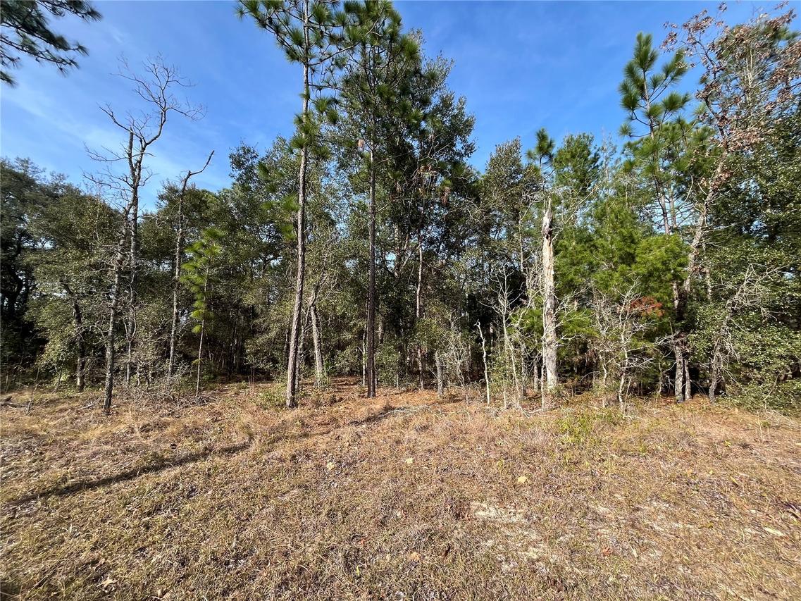 6168 Emory Ave., Keystone Heights, FL 32656