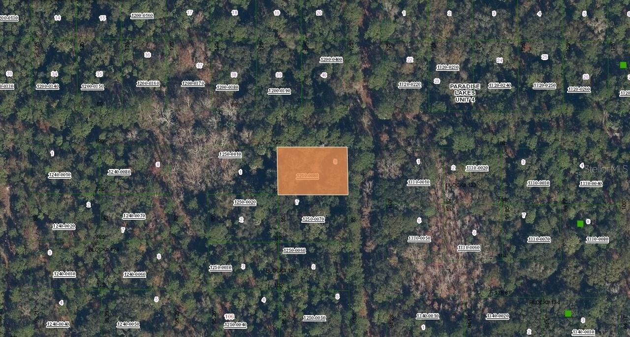 Spruce Dr., Georgetown, FL 32139