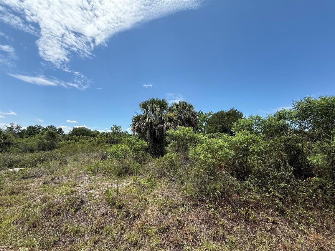 20174 NW 268th St., Okeechobee, FL 34972