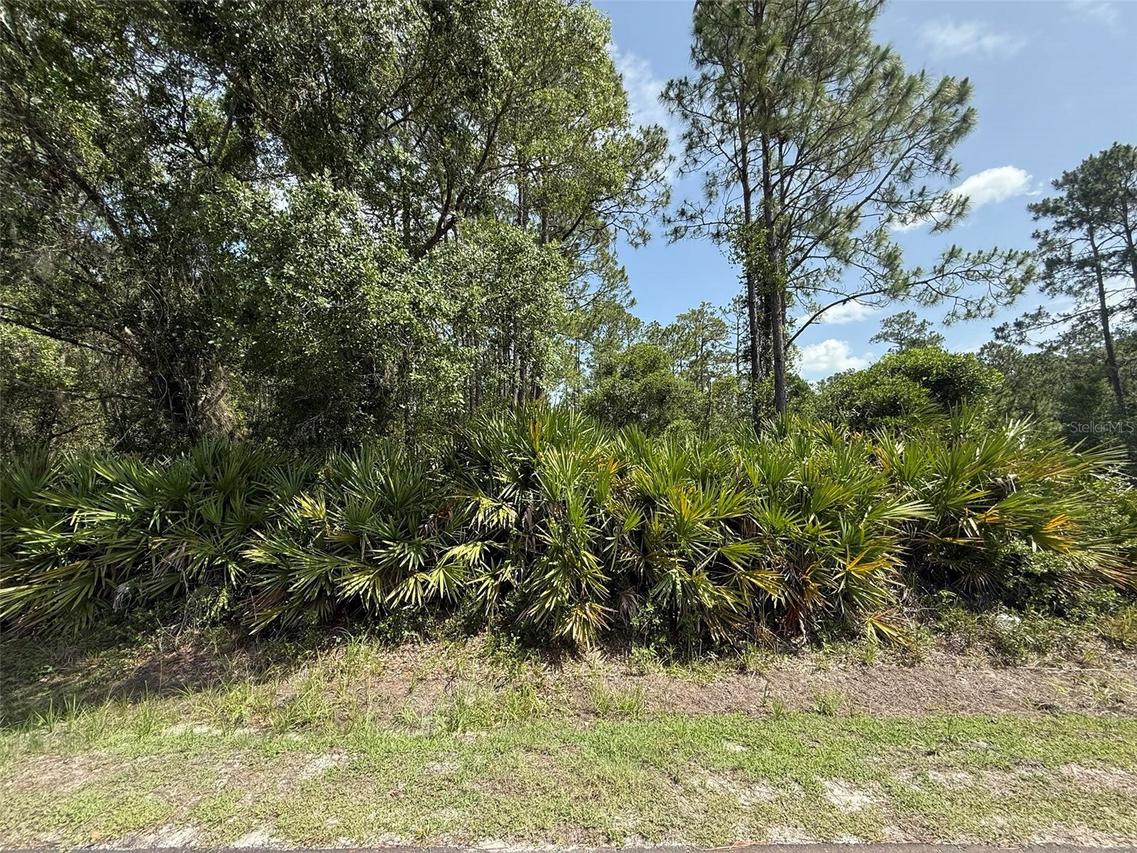 132 Millican Rd., Palatka, FL 32177