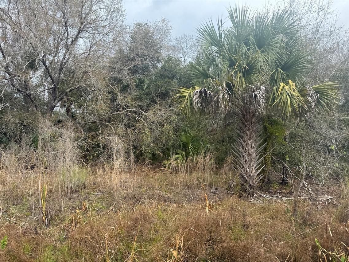 17667 NW 254th St., Okeechobee, FL 34972