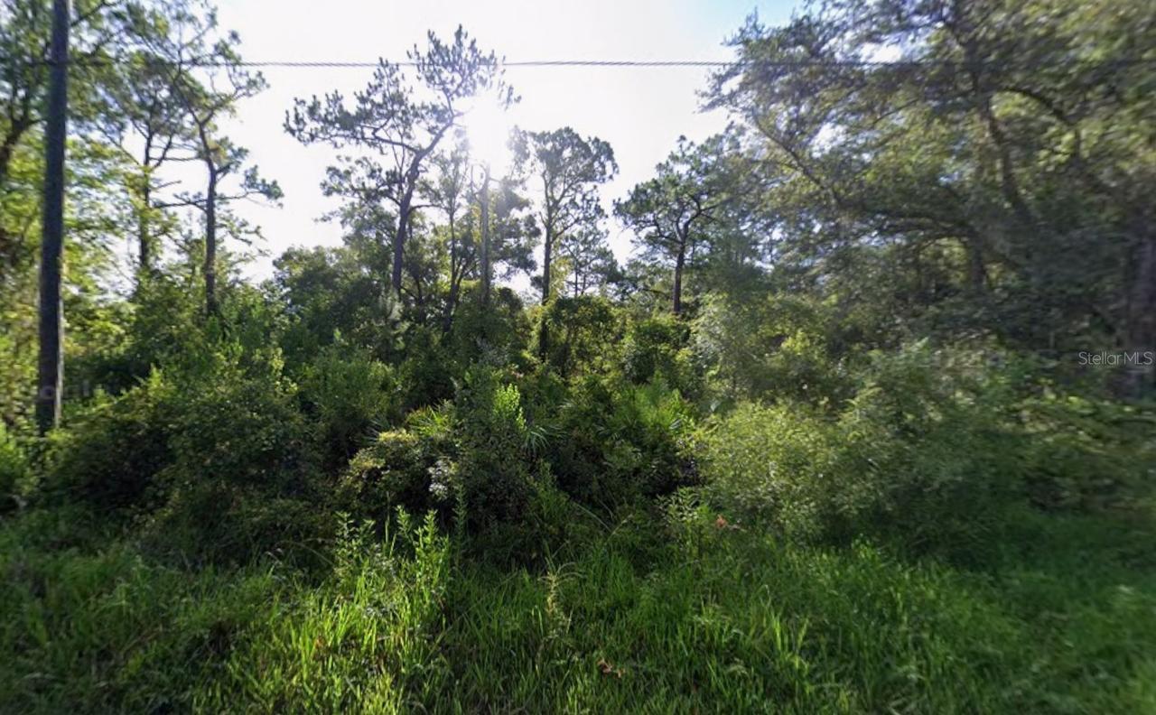 Atlee St., New Port Richey, FL 34654