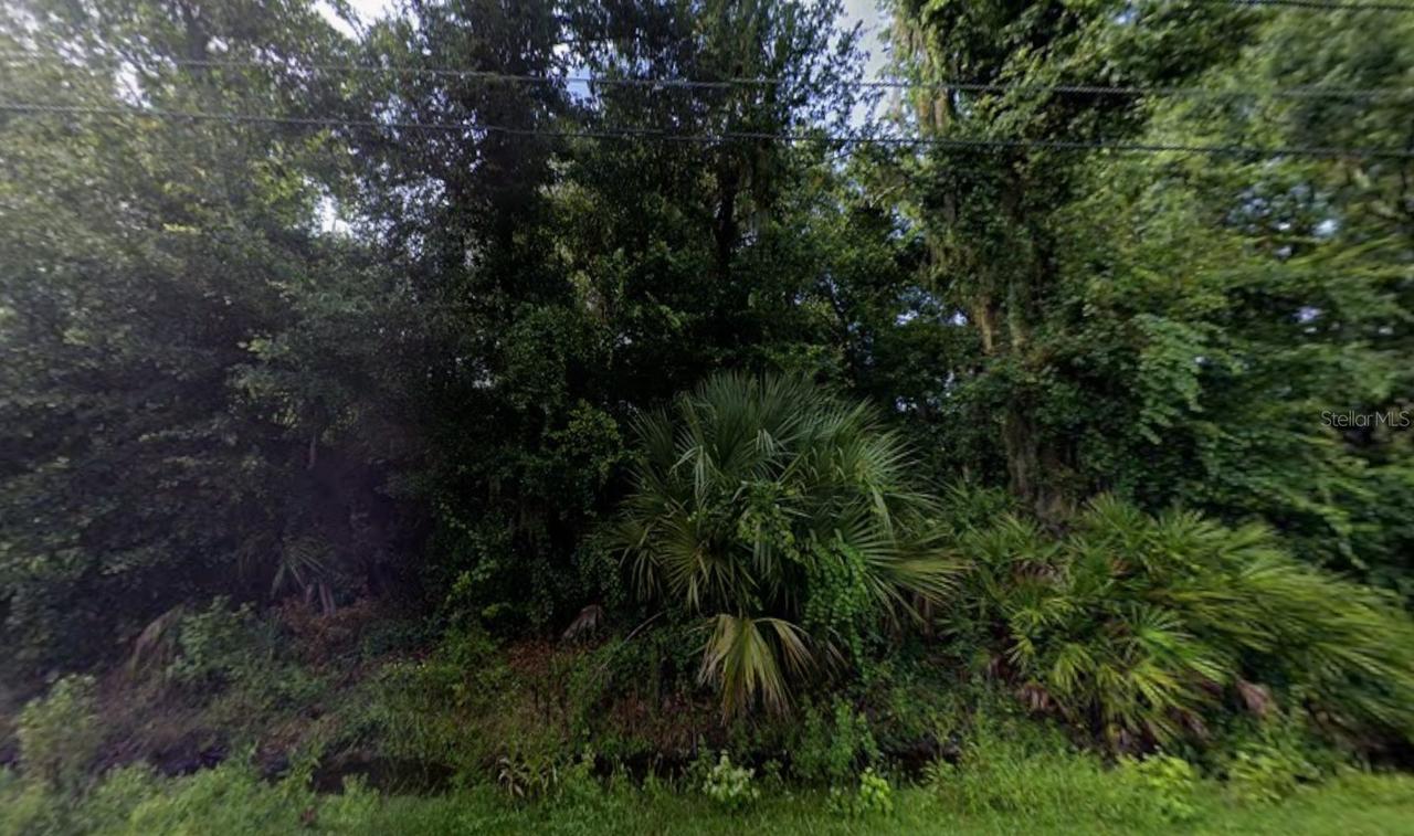 242 Toms Rd., Debary, FL 32713