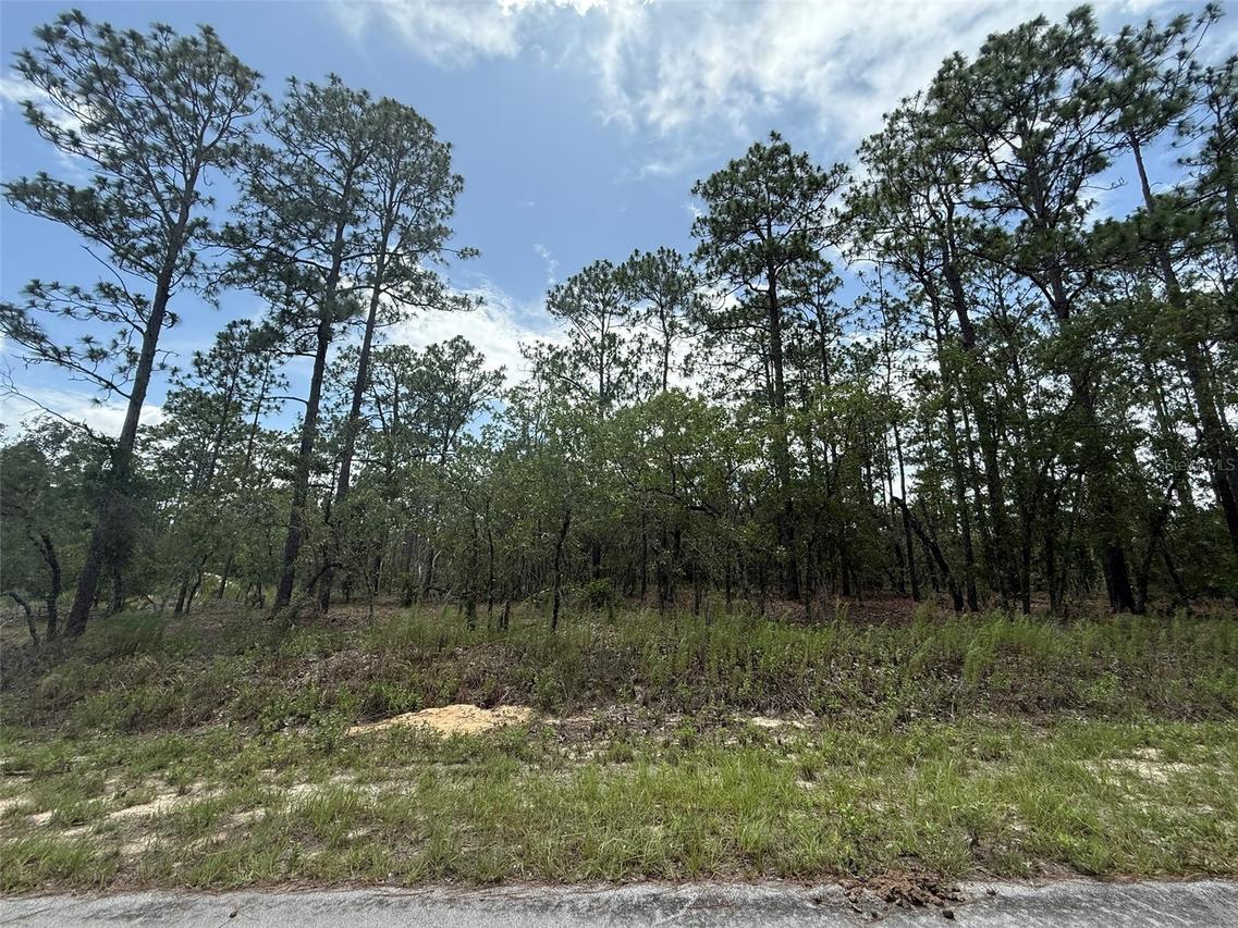 TBD Tree Top Rd., Dunnellon, FL 34431