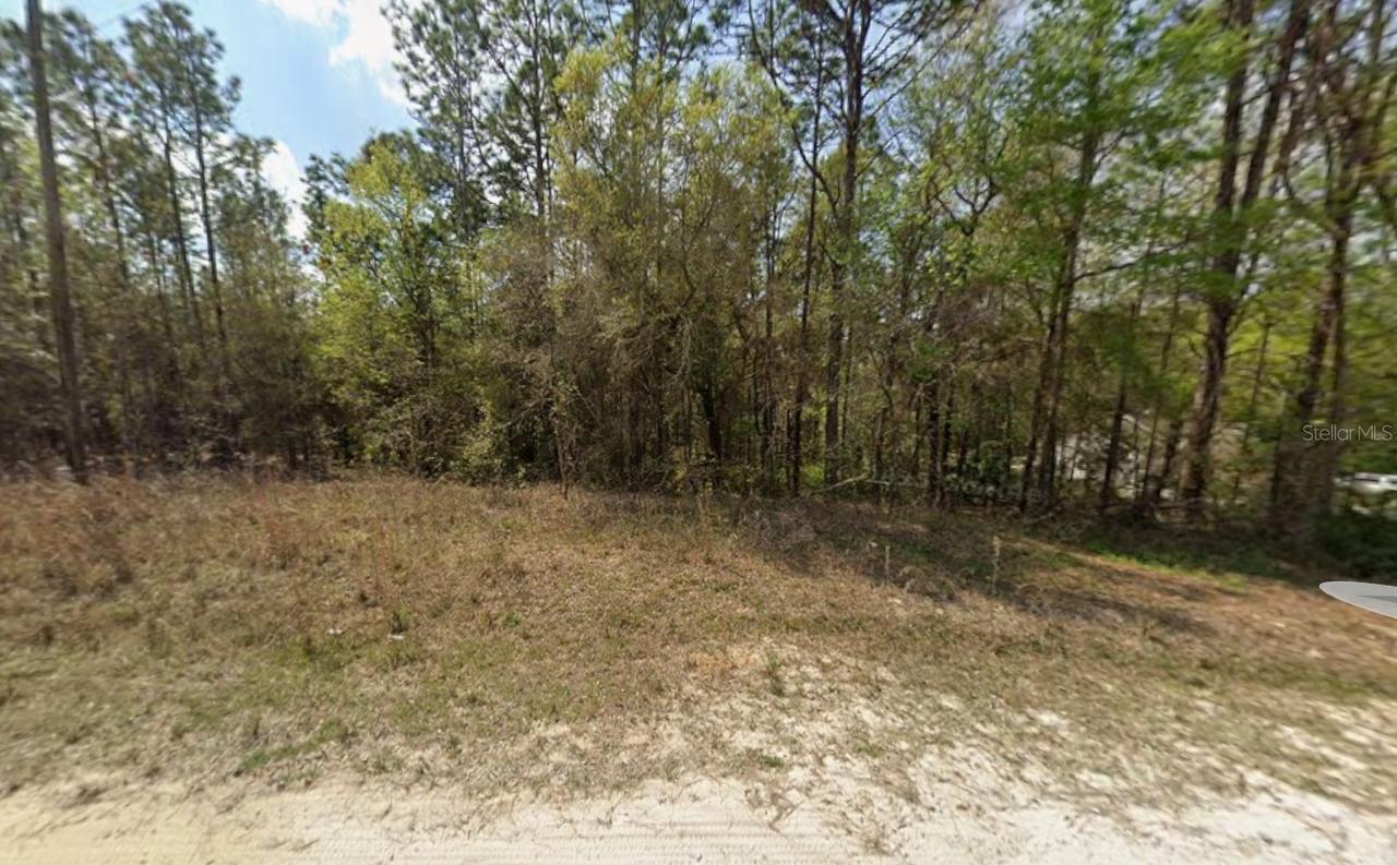 SW 45th Lane Rd., Ocala, FL 34481