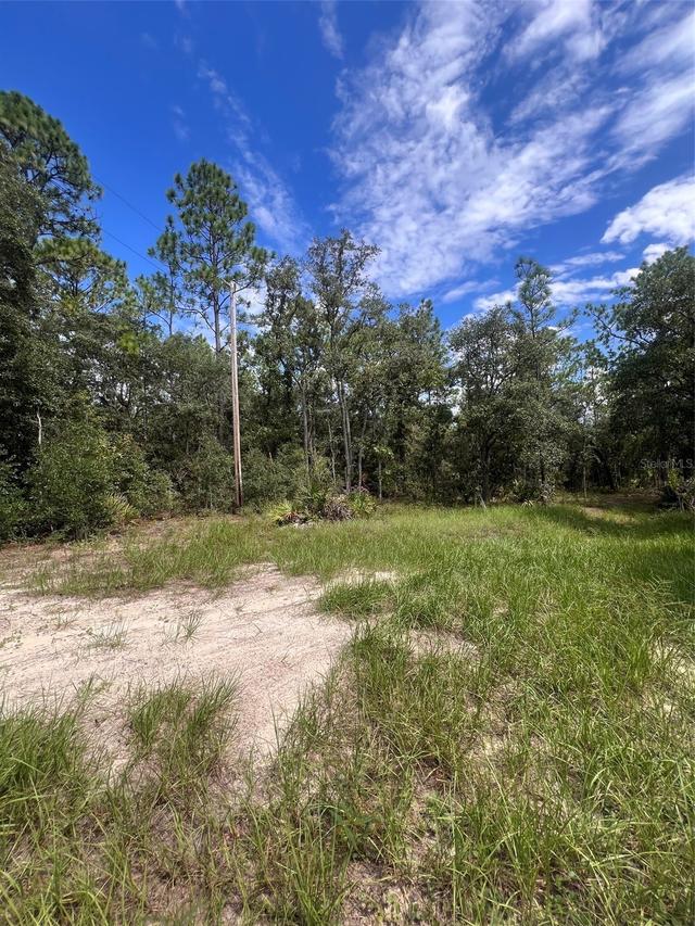 5614 S Georgian Rd., Homosassa, FL 34446