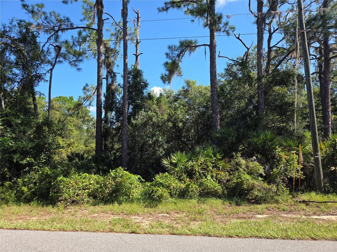 Deer Rd., Frostproof, FL 33843