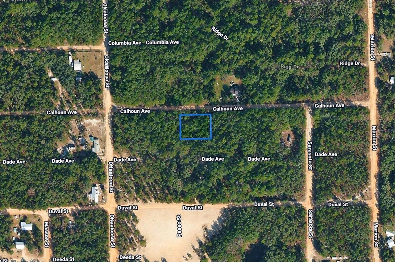 313 Calhoun Ave., Florahome, FL 32140