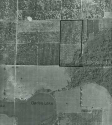Lake Wales/ Alturas Rd., Alturas, FL 33820