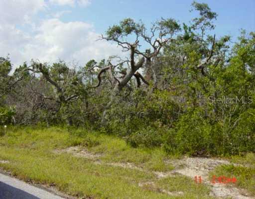 Mediterranean Ct., Poinciana, FL 34759