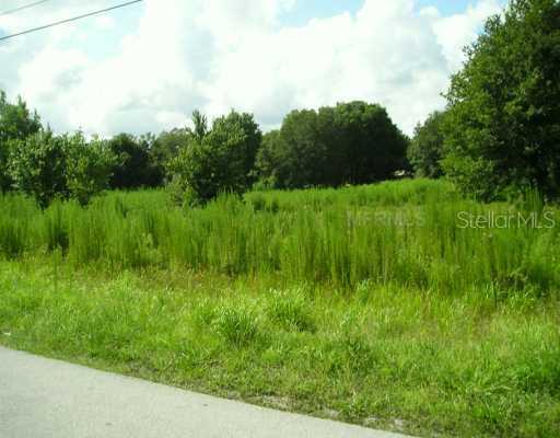 Itchepackesassa Dr., Lakeland, FL 33810