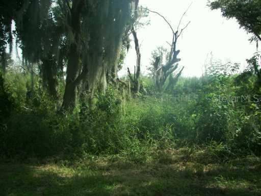 Maggie Rd., Bartow, FL 33830