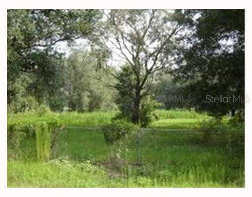 Lot #10 Driggers Rd., Lakeland, FL 33809