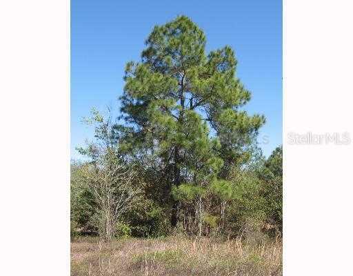 Ponderosa Ln., Lakeland, FL 33809