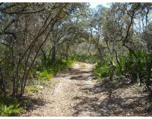 Walk-in-water Rd, Lake Wales, FL 33853