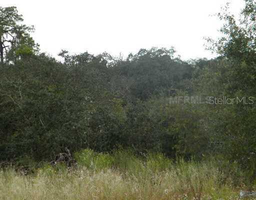 3779 Masterpiece Rd, Lake Wales, FL 33898