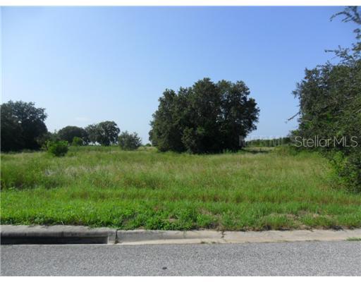 Holly Hill Grv Rd., Davenport, FL 33837