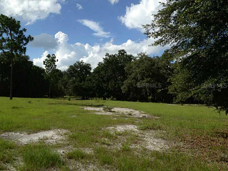 7515 County Road 217, Wildwood, FL 34785