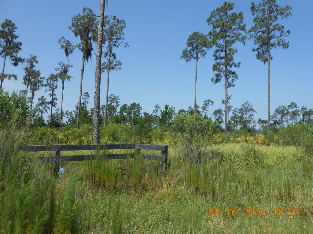 Singletary Rd., Fort Meade, FL 33841