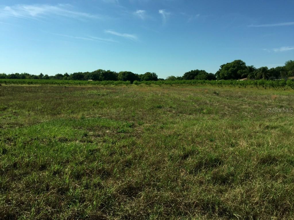 TRACT A Gandy Rd., Bartow, FL 33830