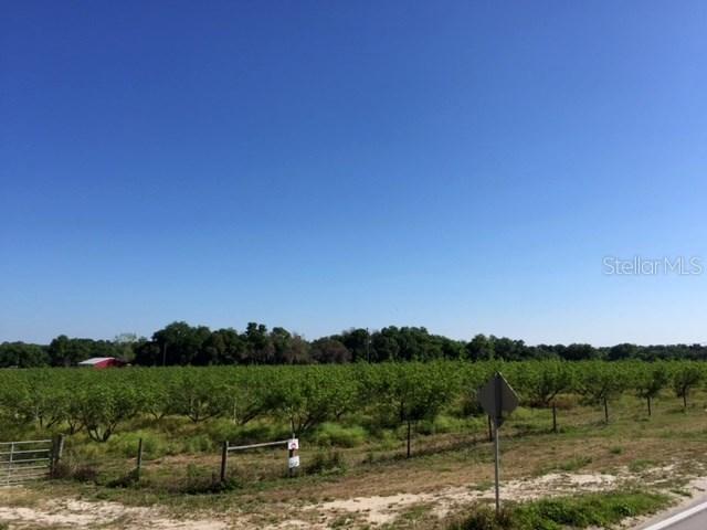 TRACT C Gandy Rd., Bartow, FL 33830