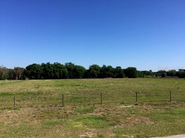 TRACT D Gandy Rd., Bartow, FL 33830