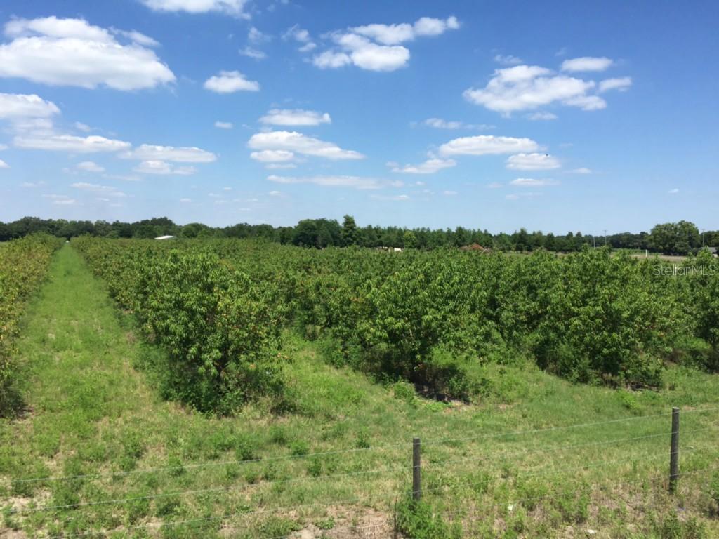 Gandy Rd., Bartow, FL 33830