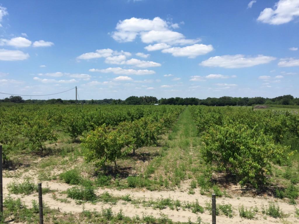 Gandy Rd, Tract C Rd., Bartow, FL 33830