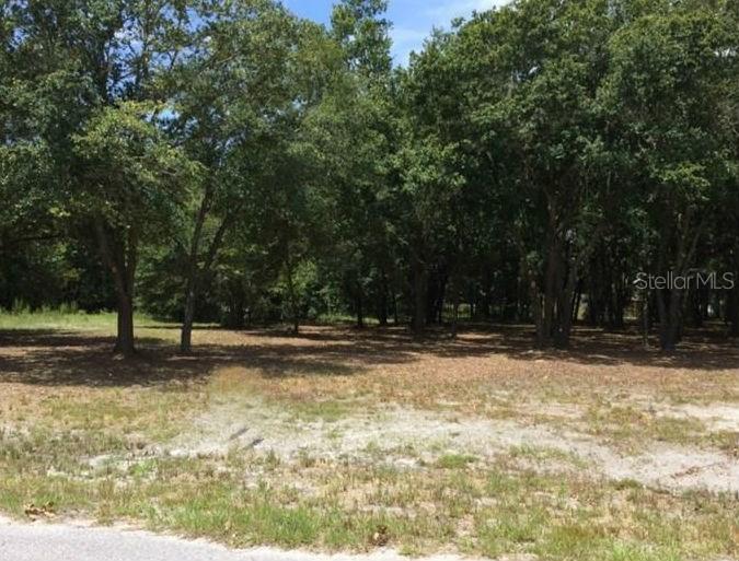 Woodale Dr., Lakeland, FL 33811