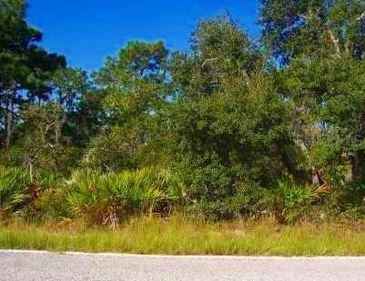 Rosalie Lake Rd, Lake Wales, FL 33898