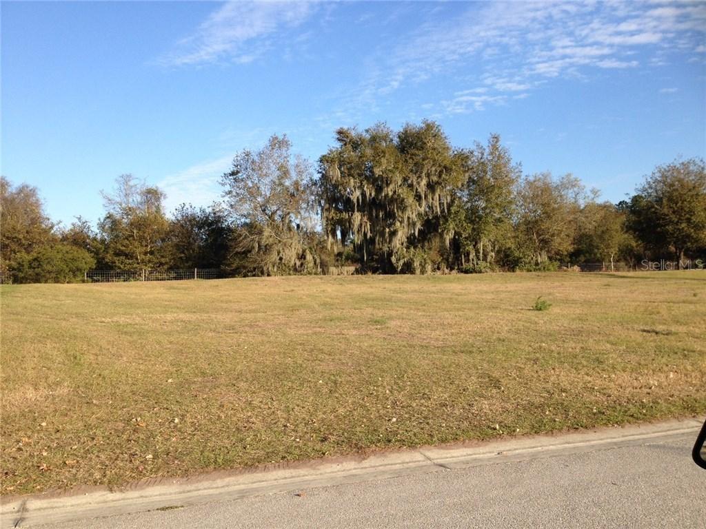 Vista Hills Dr., Lakeland, FL 33813