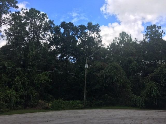 Tall Pines Tr., Lakeland, FL 33810