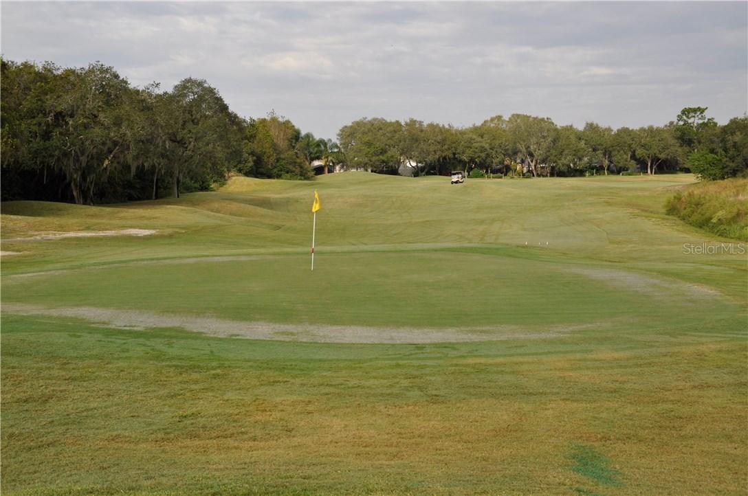 Capps Road, Lake Wales, FL 33898