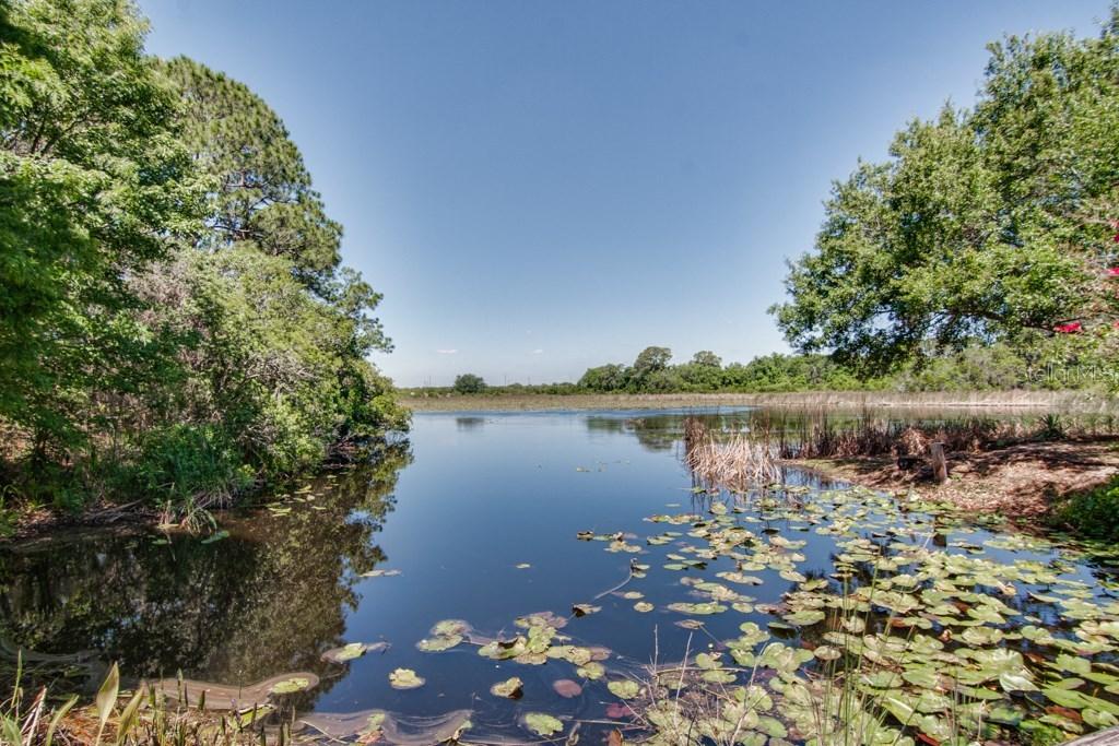 302 Van Lakes Blvd., Auburndale, FL 33823