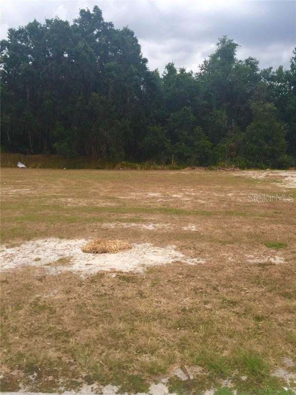 4693 Lathloa Loop, Lakeland, FL 33811