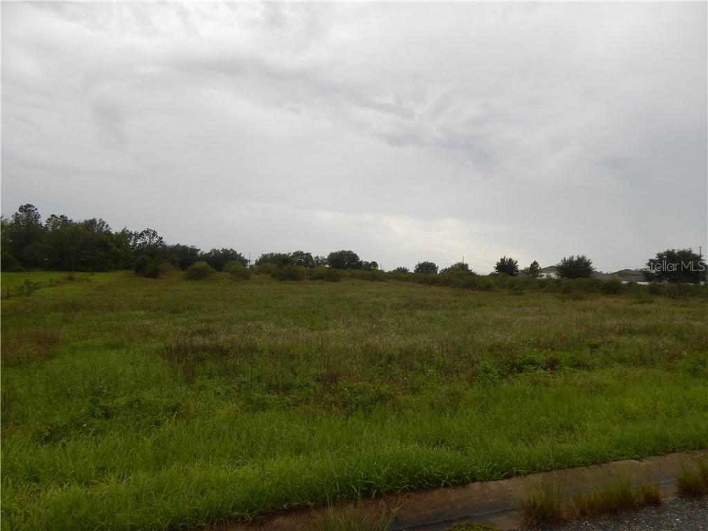 2717 Holly Hill Grove 2 Rd, Davenport, FL 33837