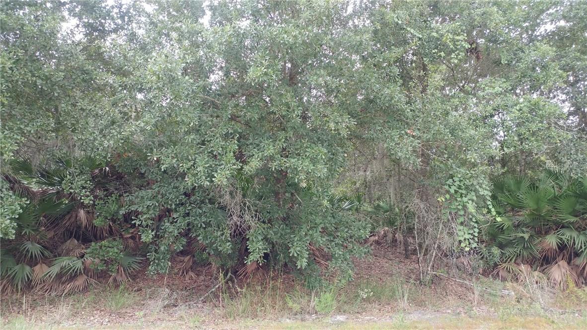 [Address Hidden by Seller], Lake Wales, FL 33898