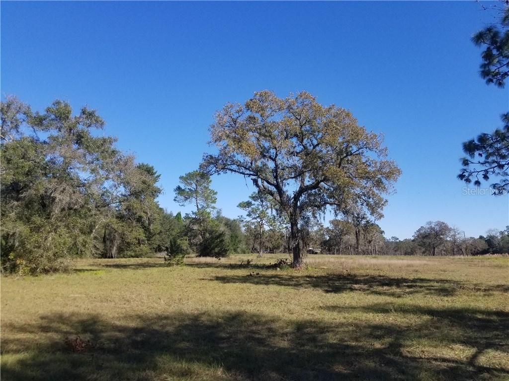 Hellen K Dr., Spring Hill, FL 34610