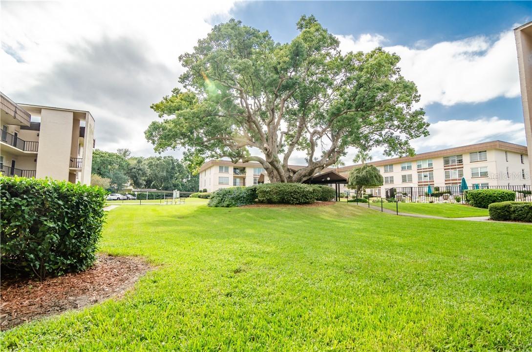 333 Lake Howard Dr. #214d, Winter Haven, FL 33880