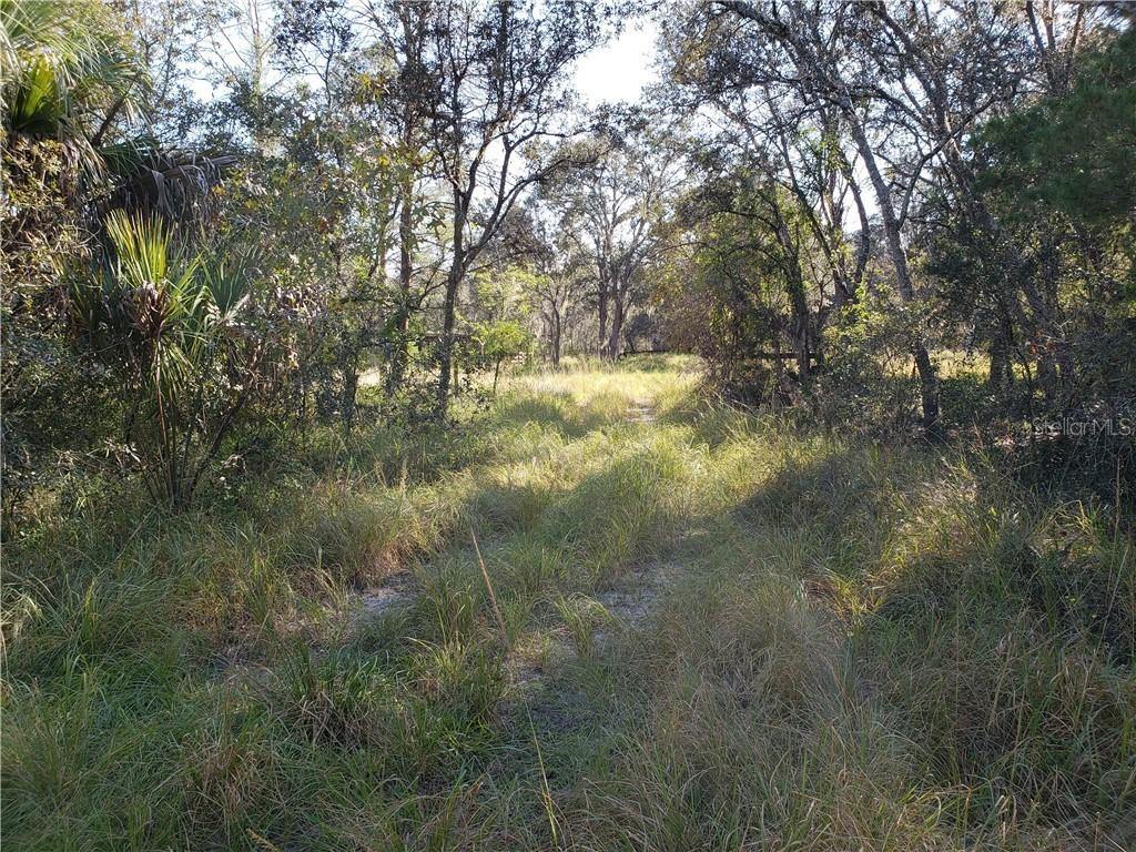 2815 Cardinal Tr., Lake Wales, FL 33898