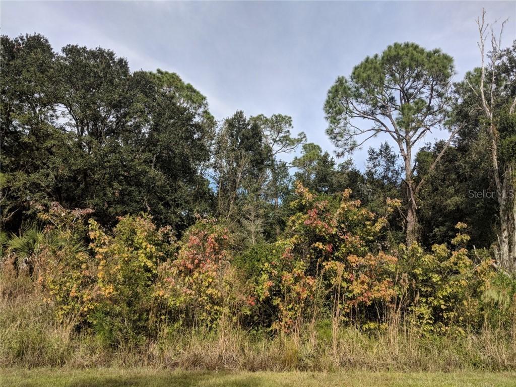 213 Spoonbill Ln., Poinciana, FL 34759