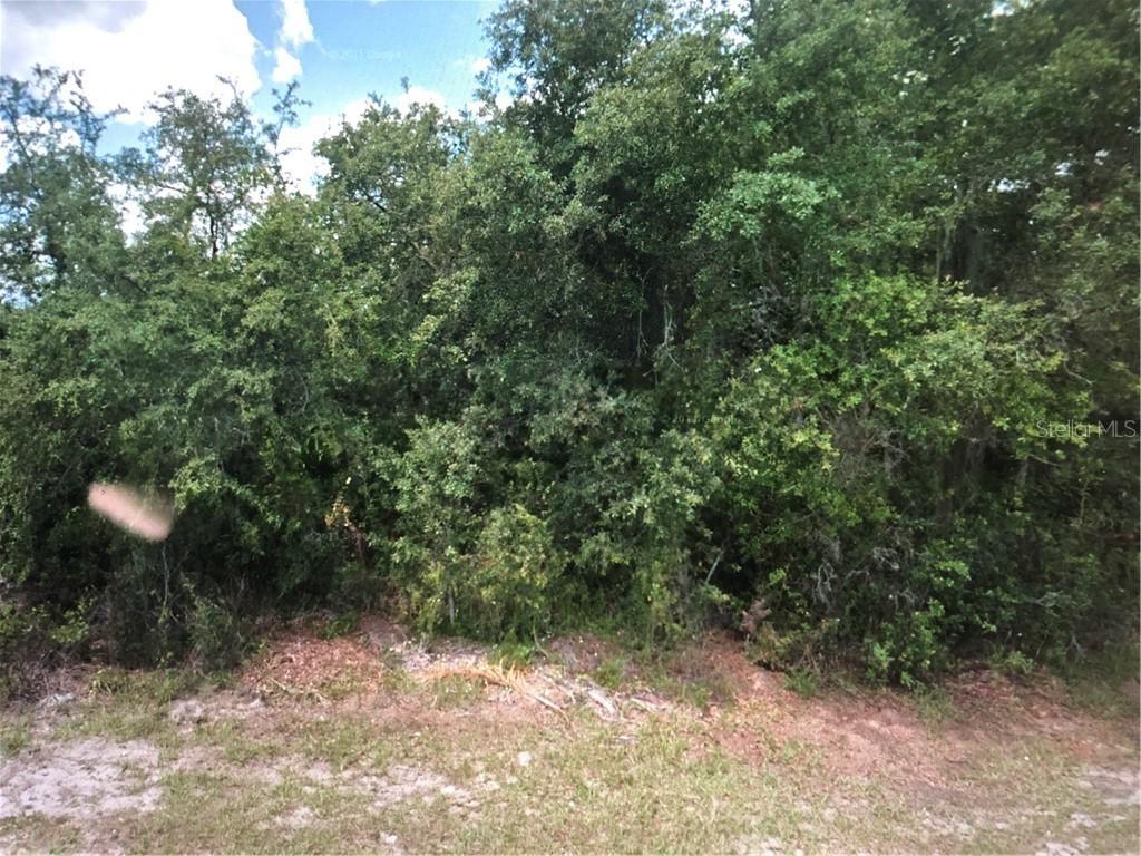 152 Conch Dr., Poinciana, FL 34759