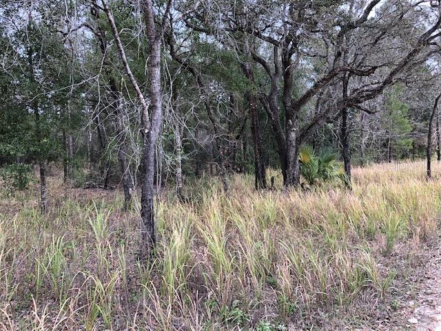 [Address Hidden by Seller], Brooksville, FL 34613