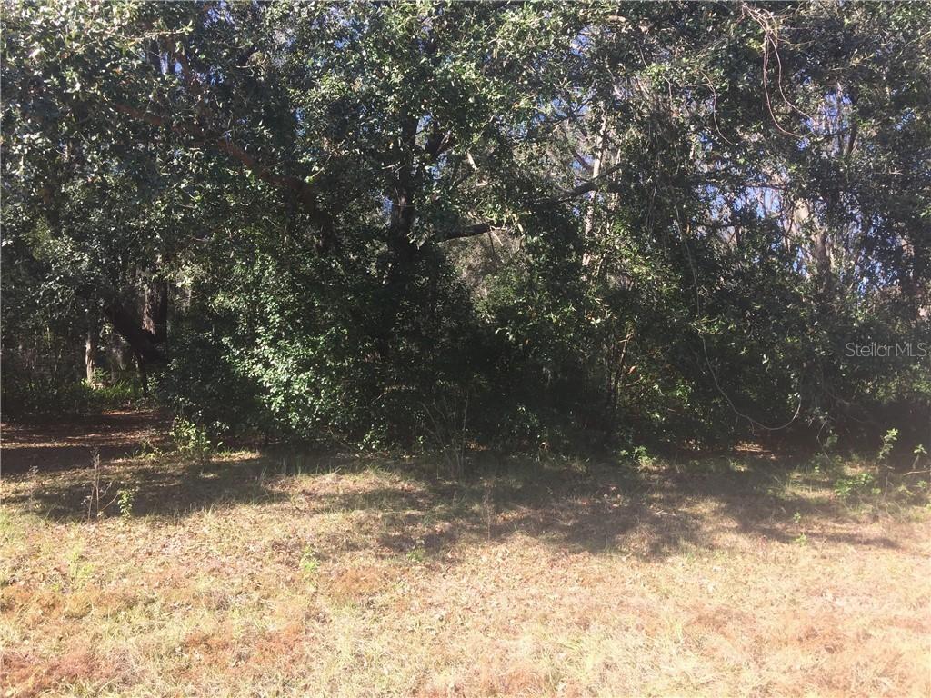 Odom Ln., Lakeland, FL 33809
