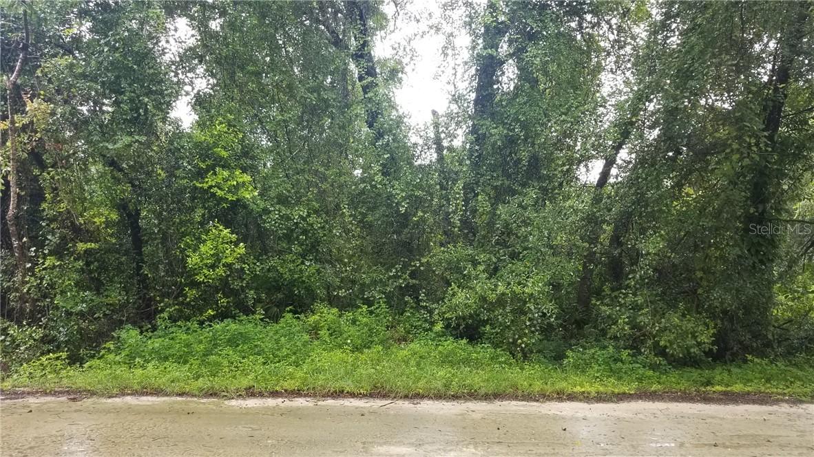 3251 Taffeta St., Dade City, FL 33523