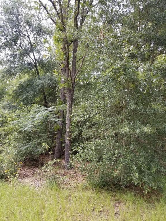 Undetermined Sw 142nd Ct, Ocala, FL 34481